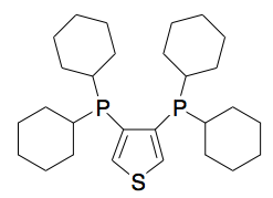 3,4-Bis(dicyclohexylphosphino)thiophene - CAS:1638677-61-8 - 1,1-(3,4-Thiophenediyl)bis[1,1-dicyclohexylphosphine]